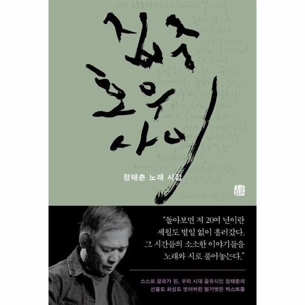 호밀밭(주) 웅진북센 집중호우 사이 - 정태춘 노래 시집