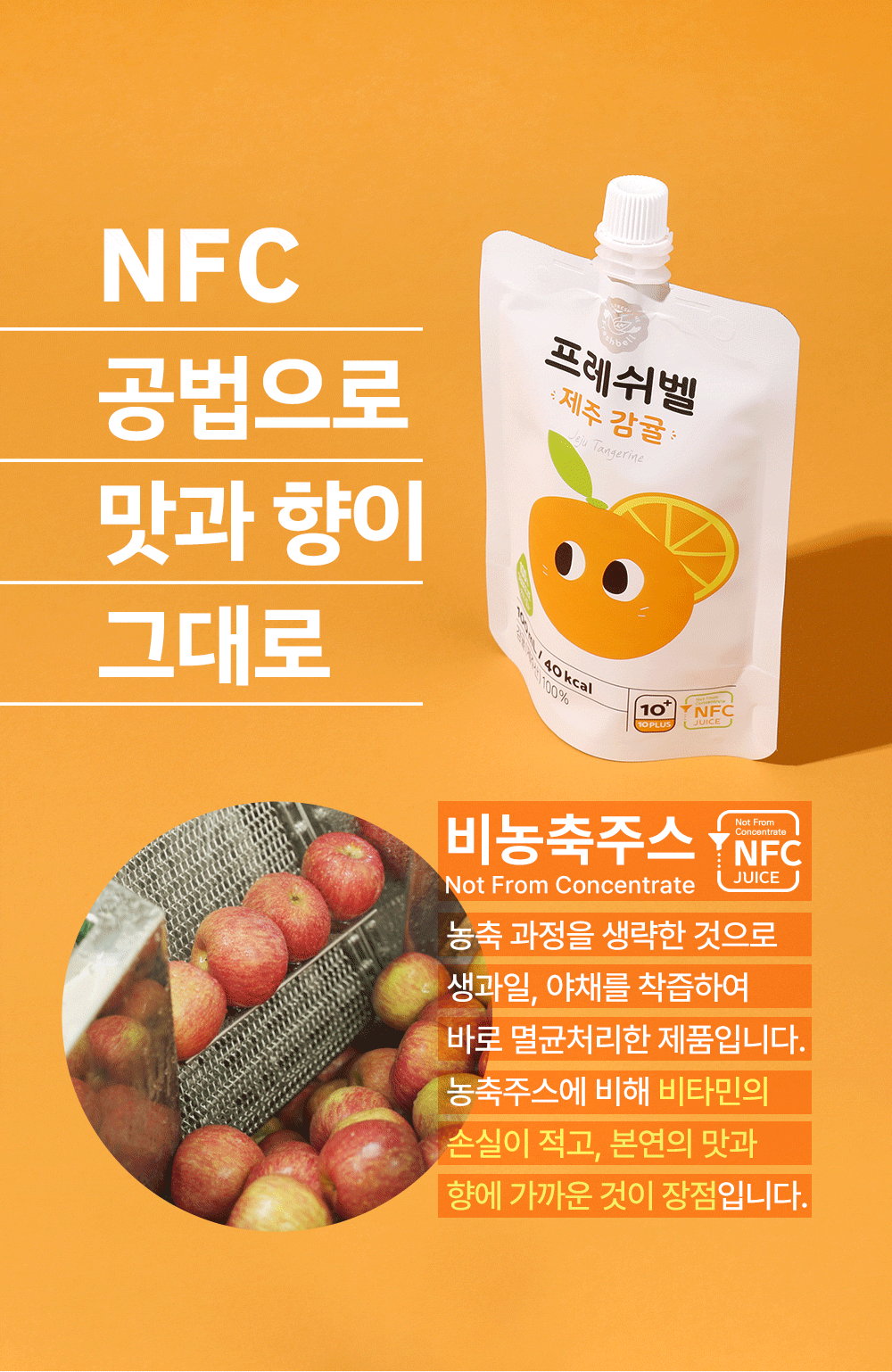 제주감귤08