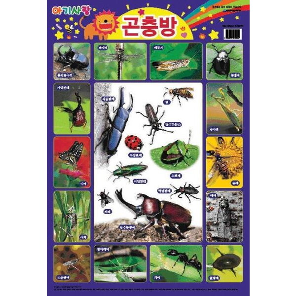 은하수미디어 아기사랑 곤충방(벽보)