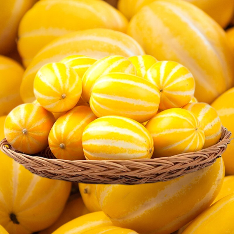 포미식탁 포미식탁 가정용 못난이 성주참외 3kg 대과 (5-9과)