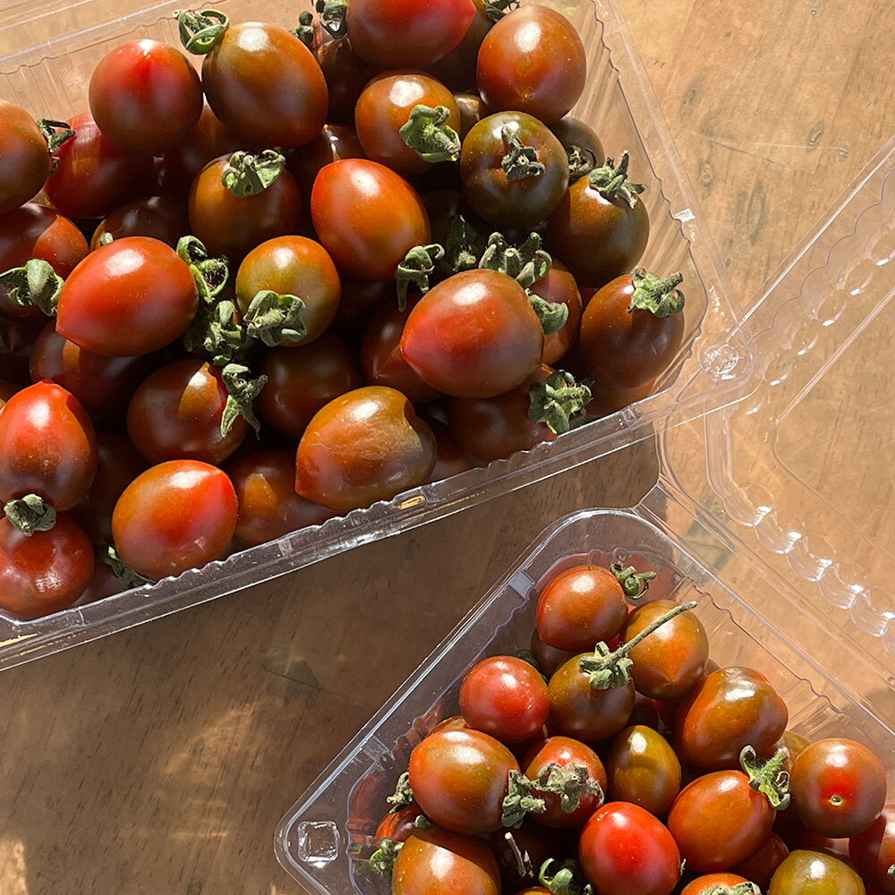 농장이필요해 알뜰총각 [알뜰총각] 부산 대저 흑대추 방울토마토 혼합과 500g