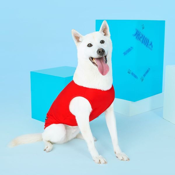 (주)비와이씨 비와이씨 [하프클럽/BYC]개리야스 보디드라이 쿨런닝 ODB000502