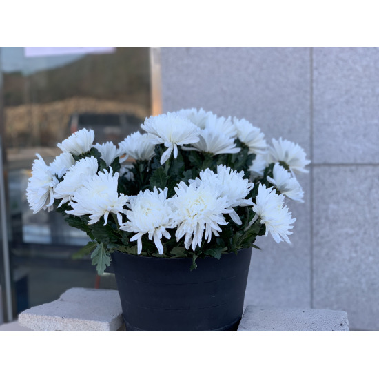 [인천 옹진] 백령도 1박2일 바캉스패키지 (성수기/기본2인) 예약권 *07/01-07/20, 08/16-08/31*