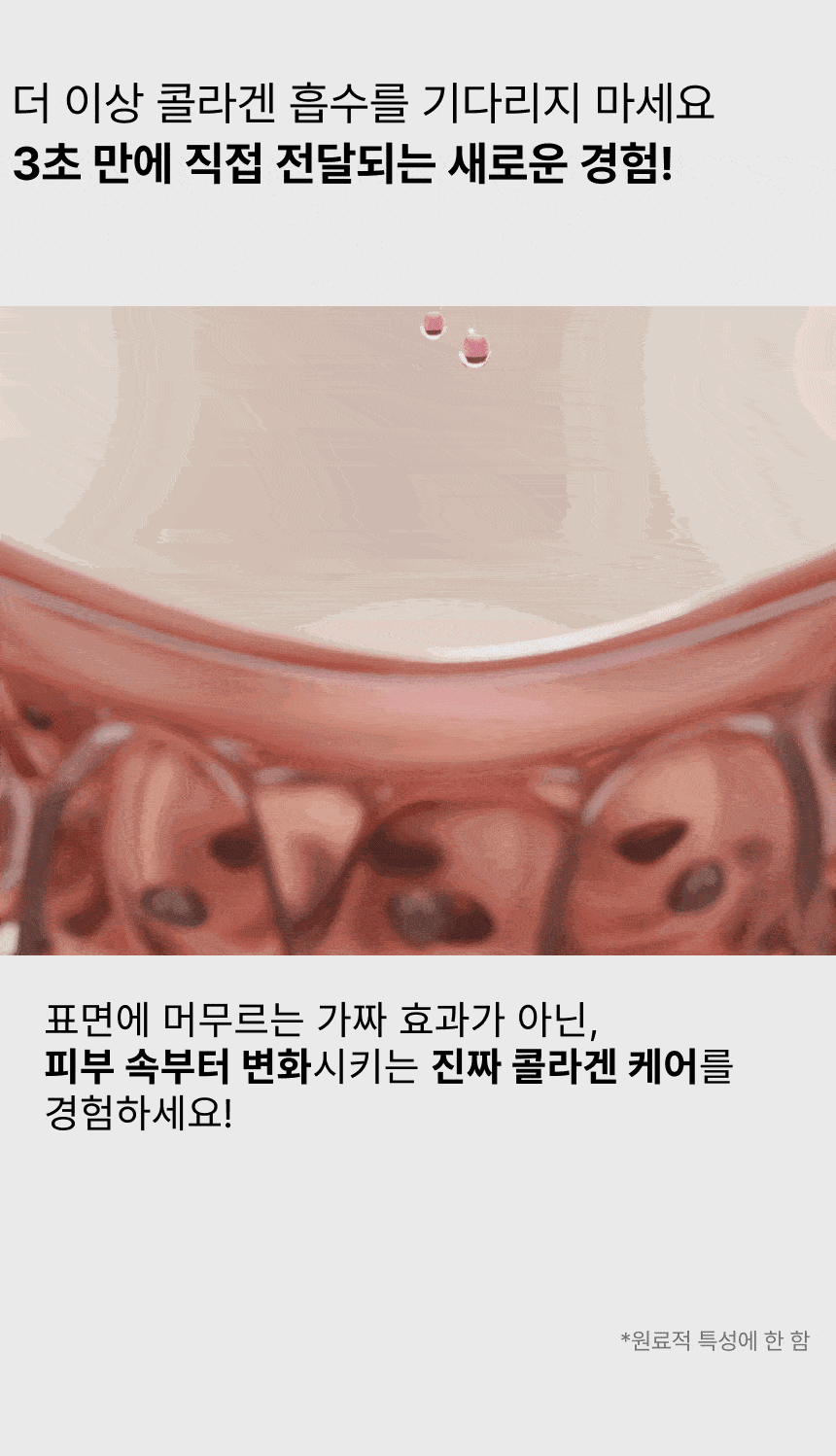 치크필름6-3