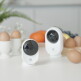 [헤이홈]가정용 홈cctv (SET) 스마트 홈카메라 고정형(1개) + 홈카메라 Egg Pro(1개)