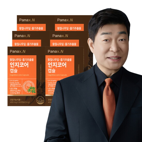 [파낙스엔]●[6개월]인지코어(400mgX60캡슐X6박스) 