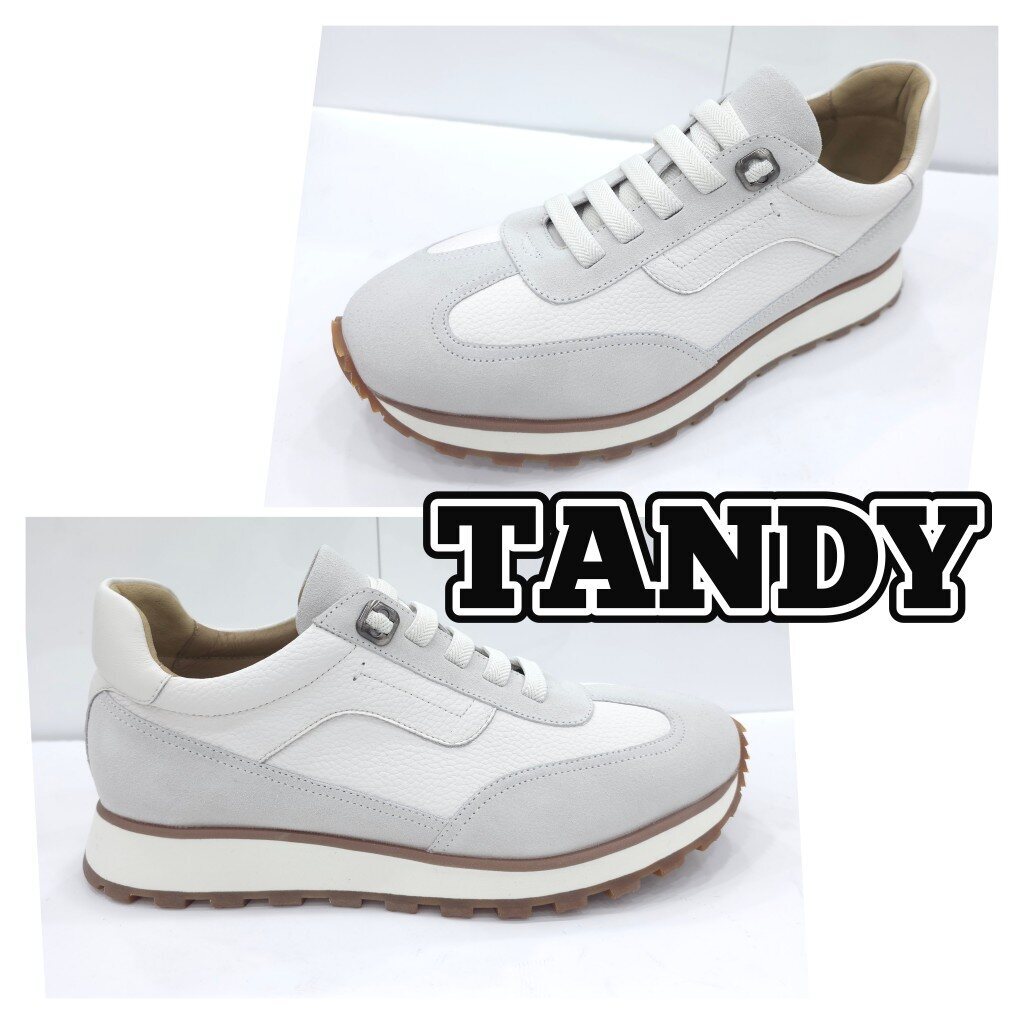탠디 (패플) [탠디]남성 스니커즈 Y2AG5HA033_SH
