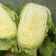 [알뜰총각][알뜰총각] HACCP 소문난 맛집 강원도 고랭지 3중 세척 절임배추 20kg(7-11포기)