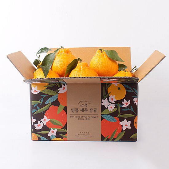 제주 한라봉 2kg 8-11과 중과 (2개구매시 4.5kg 발송)