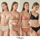 [플레이텍스][Playtex] 플레이텍스 노와이어 볼륨업 8종 [라이트베이지+베이지+로즈핑크+블랙] PXW3O01020304_T