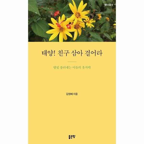 (주)좋은땅 북스토어 태양! 친구 삼아 걸어라 : 별빛 불러내는 어둠의 옷자락