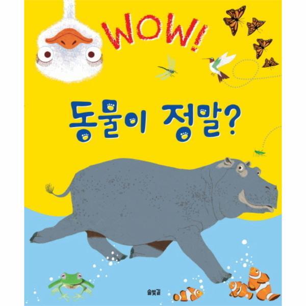 솔빛길 이노플리아 Wow 동물이 정말 우리가 몰랐던 동물에 대한 놀라운 사실