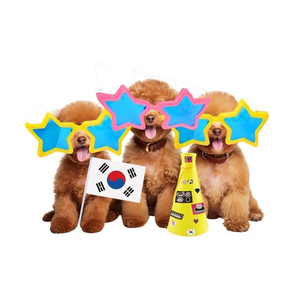 브이와이 [하프클럽/브이와이]아파트 이벤트 로제 유튜브 별 안경 파티소품