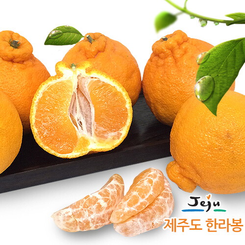 올찬 한라봉(중) 10kg(38~47과)