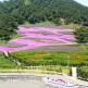 [롯데관광][상담예약] 롯데관광 목포+신안 2일 패키지