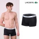 [라코스테]라코스테 LACOSTE 남성 시그니처로고 드로즈 7종