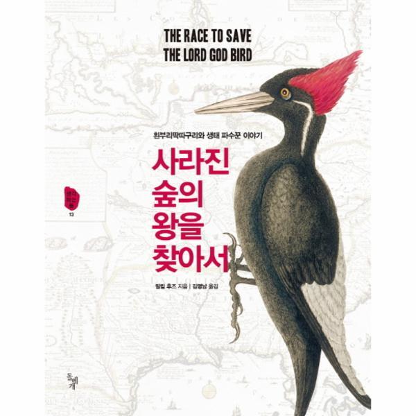 웅진북센 사라진 숲의 왕을 찾아서 흰부리딱따구리와 생태 파수꾼 이야기