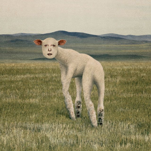 엠피엠지 뮤직 교보문고 THORNAPPLE(쏜애플) - 동물 [EP] [일반반]