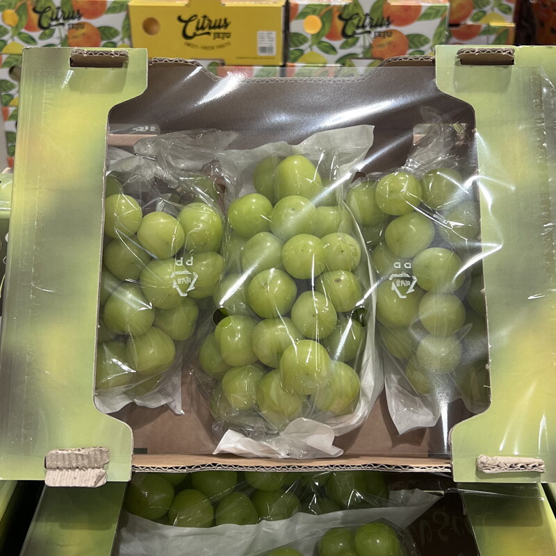 글로벌푸드 코스트코 샤인머스켓 청포도 2kg