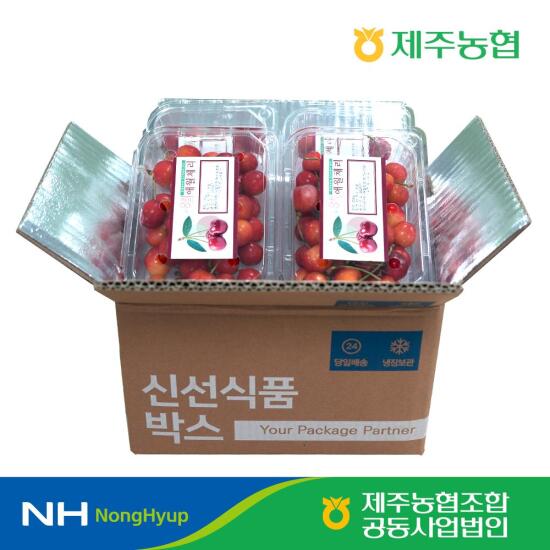 [햇살바람]제주농협 체리 250gx4팩(1kg) 24-27mm