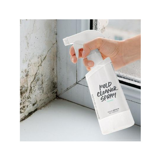 곰팡이제거제 500ml x 2개 욕실세제 결로 벽지 화장실