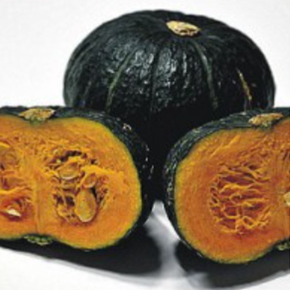 에이치플러스몰 미니 단호박 식용 호박씨 채소 열매 씨앗 종자 5립