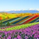 [참좋은여행][상담예약] 참좋은여행 북해도 4일 패키지