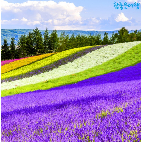 [참좋은여행][상담예약] 참좋은여행 북해도 4일 패키지