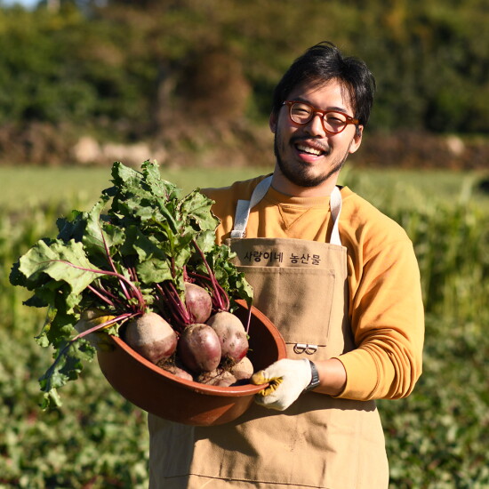 [알뜰총각][알뜰총각] 산지직송 제주 유기농 레드비트 5kg