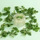 [루디아][롯데단독] 젤라또 팩솝 115g*3종+25g*3종(블루베리/애플망고/페퍼민트)+파우치4개+스패츌러3개