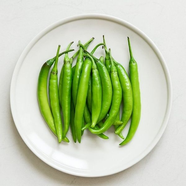 기타 [하프클럽/기타]늘바른 국산  무농약 청양고추100g 4봉