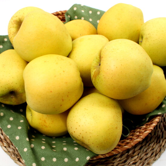 [태현]시나노골드 정품 예쁜이사과 2.5kg 소과(12~15과)