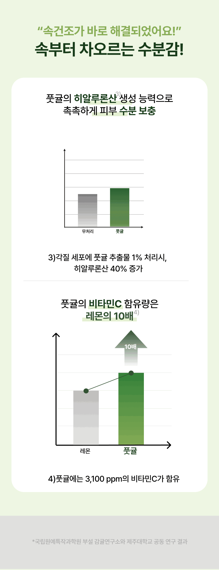 캄프패드10