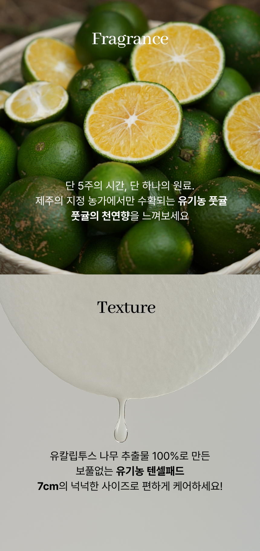 캄프패드11