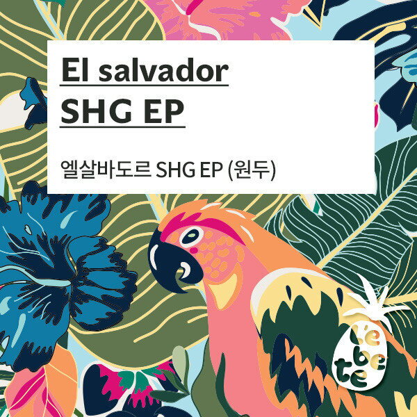 로레인커피 [레베떼커피][UMB][레베떼] 엘살바도르 에스제이 SHG 뉴트롤즈 / 원두커피 [원두 / 1kg]