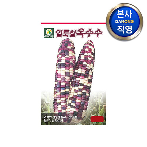 다농 얼룩찰옥수수 씨앗 70립 . 맛좋은 찰진 얼룩이 찰 옥수수 종자 곡물 씨.