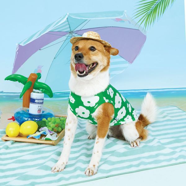 (주)비와이씨 비와이씨 [하프클럽/BYC]개리야스 보디드라이 썸머 쿨런닝 ODB000602