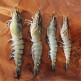 [모조나인]블랙타이거새우 3박스 1.5kg (왕특대형 1박스+특대형 1박스+대형 1박스 / 총 33미)