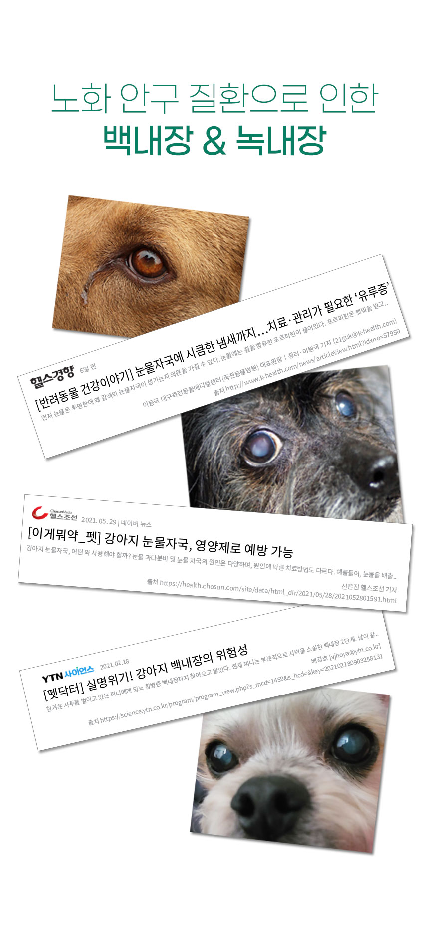 220412-상세-눈-수정3_03