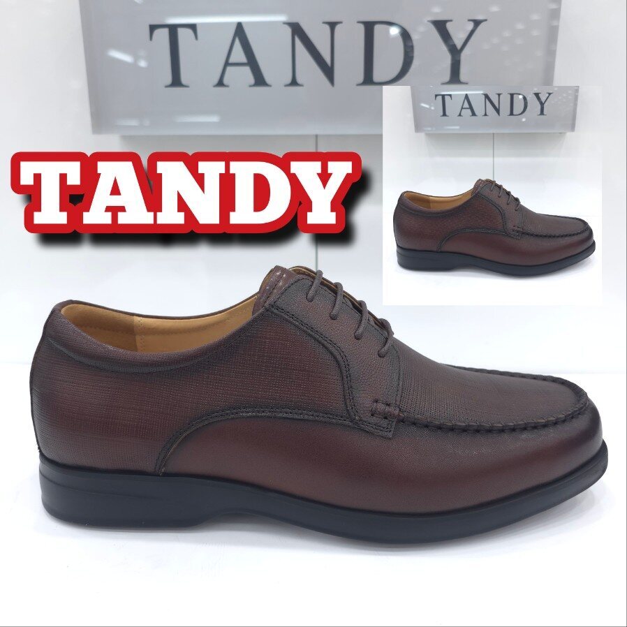 상세페이지 참조 탠디 (패플) [탠디]남성 캐주얼 보트화 Y2W5A056_SH