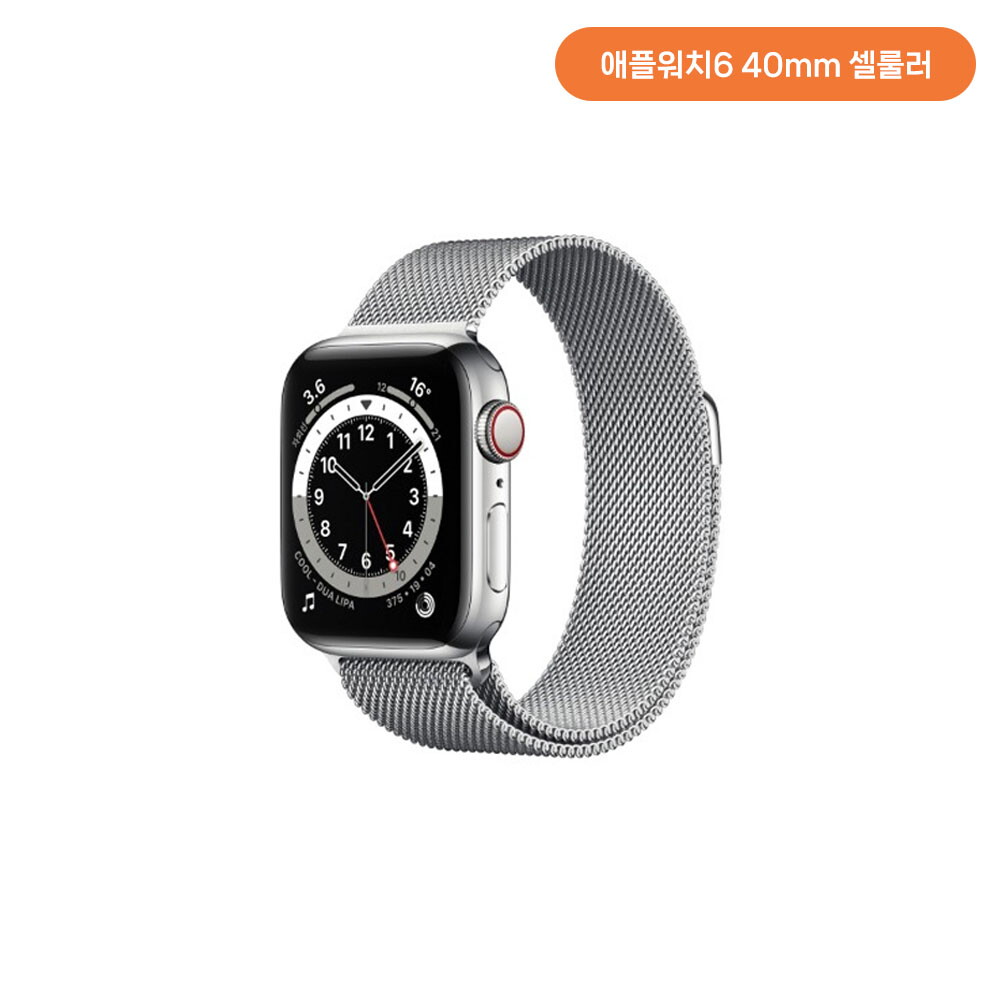 애플코리아 [중고] 애플 [오픈박스] 애플워치6 40mm GPS+Cellular 실버 스테인리스 케이스 실버 스테인리스 밀레니즈 루프 M06U3KH/A