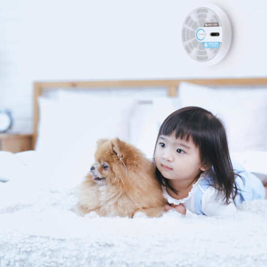 [케이프로젝트]공기정화살균기
