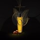 [엘리자베스아덴]레브론 오로플루이도 아르간 일릭서 헤어세럼 100ml 1+1세트