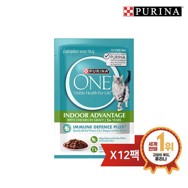 브이펫 원 캣 습식 파우치 실내고양이 70g 12팩