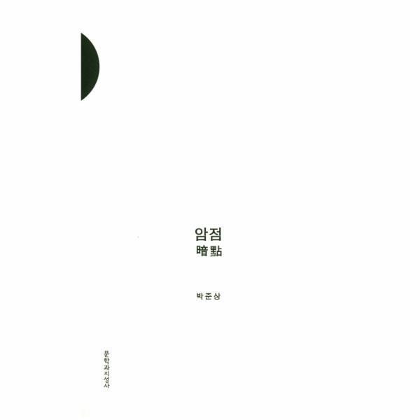 문학과지성사 빅북 암점