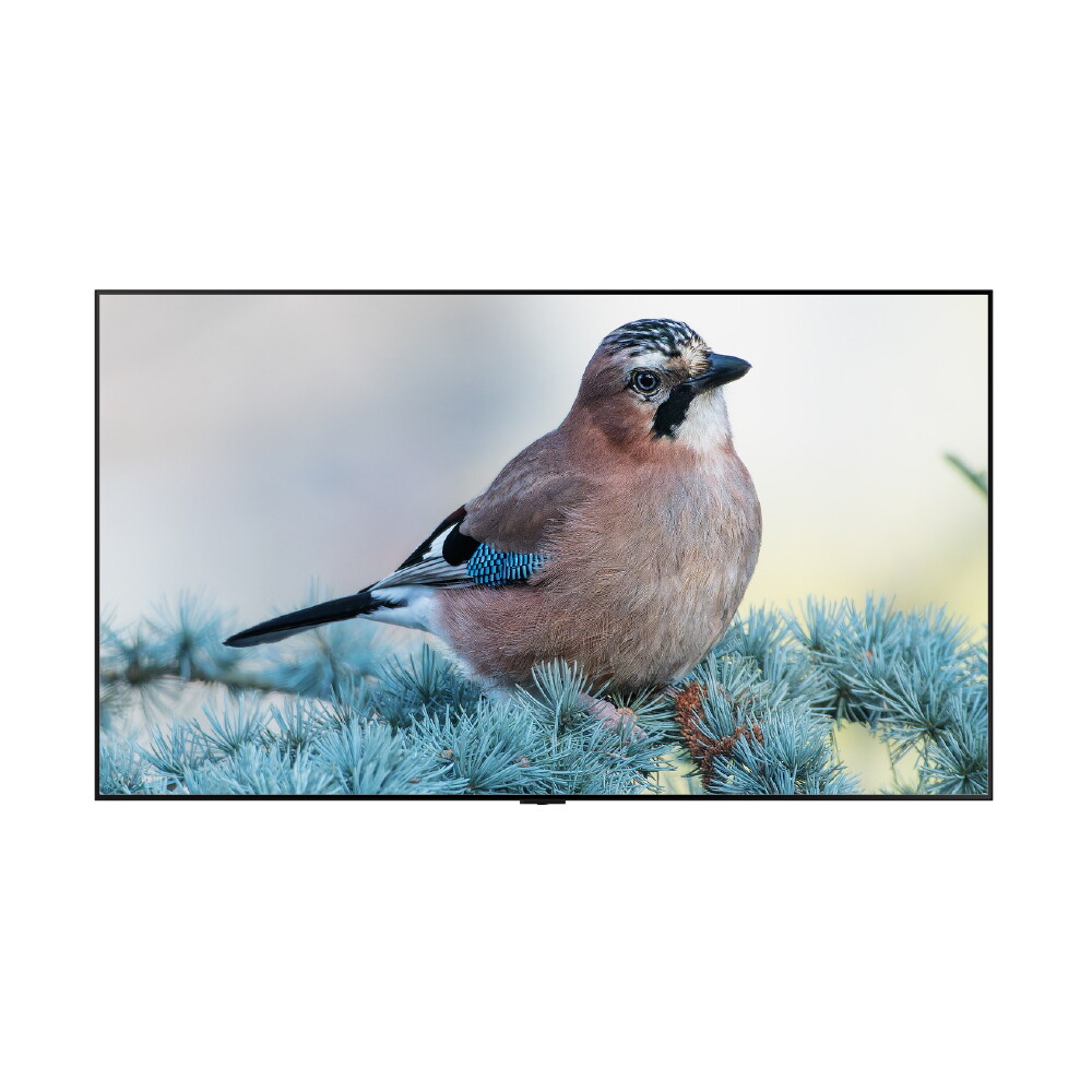 삼성전자 삼성전자 올레드 KQ77SF85AEXKR 벽걸이형 (L2) 수도권무료배송