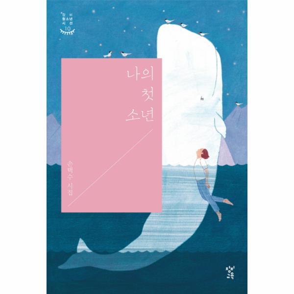 빅북 나의 첫 소년 손택수 시집