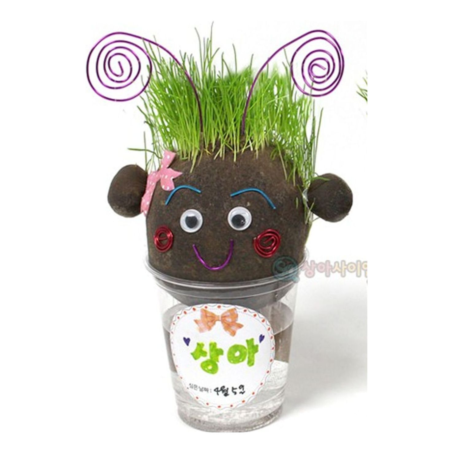 친절한탄씨 (5개묶음) (SA) 와이어로 꾸미는 잔디인형(1인)