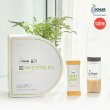 [업그레이드]돌러 바이오 단백질 120포(소프트 그레인맛 2통 + 보틀 1병)