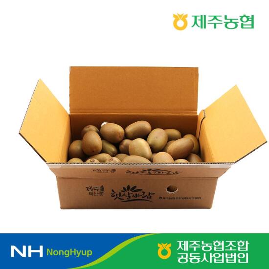 [햇살바람]제주농협 한라스위트키위 3kg(개당 70-105g 내외)